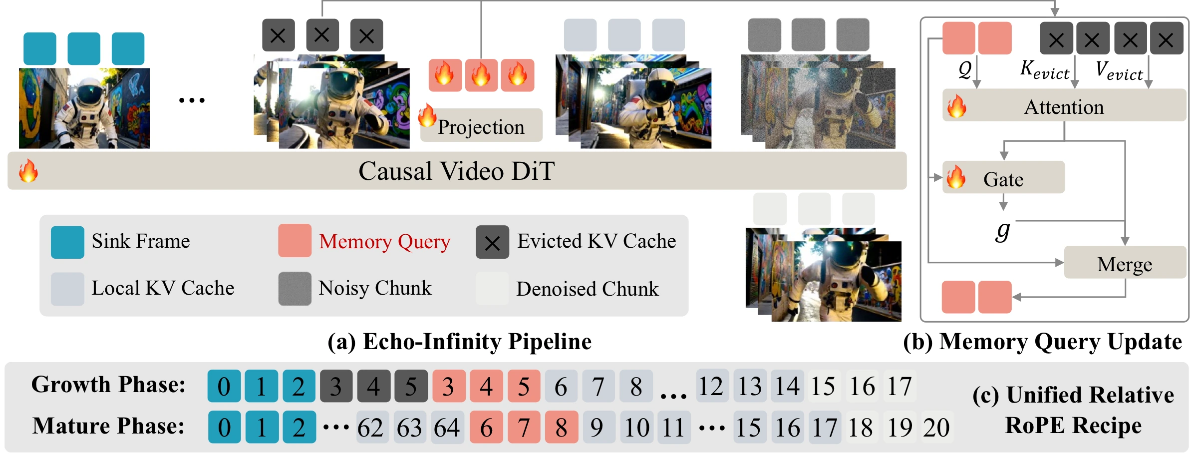 Echo-Infinity method overview